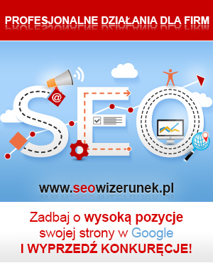 www.seowizerunek.pl